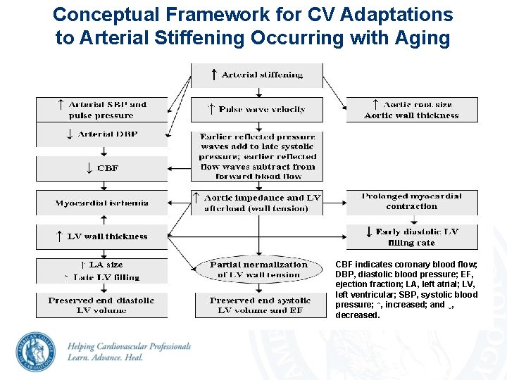 Conceptual Framework for CV Adaptations to Arterial Stiffening Occurring with Aging CBF indicates coronary Conceptual Framework for CV Adaptations to Arterial Stiffening Occurring with Aging CBF indicates coronary