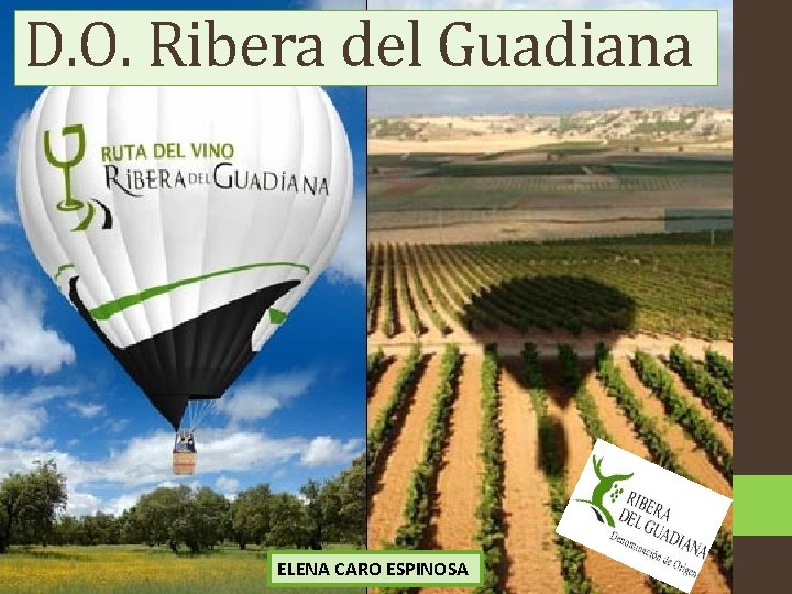 D. O. Ribera del Guadiana ELENA CARO ESPINOSA 