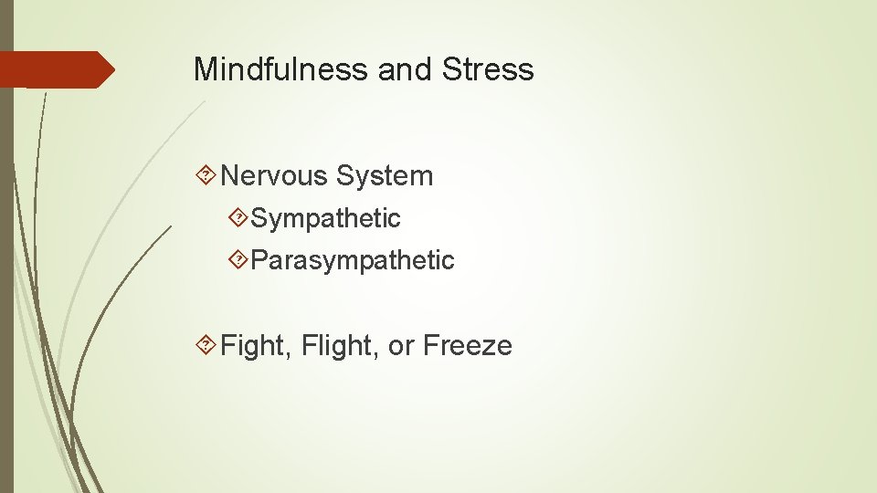 Mindfulness and Stress Nervous System Sympathetic Parasympathetic Fight, Flight, or Freeze 