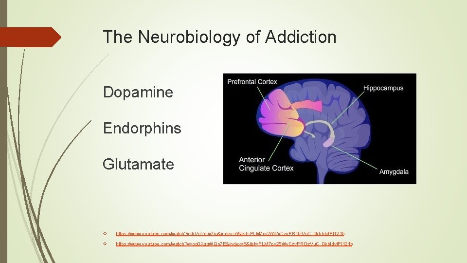 The Neurobiology of Addiction Dopamine Endorphins Glutamate https: //www. youtube. com/watch? v=k. Vo. Ypiiy