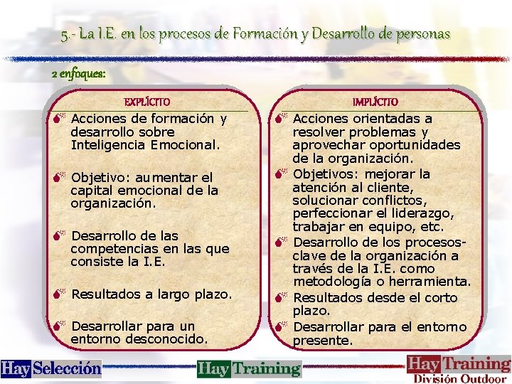 5. - La I. E. en los procesos de Formación y Desarrollo de personas