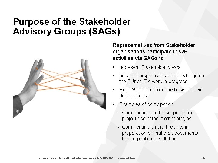 Purpose of the Stakeholder Advisory Groups (SAGs) Representatives from Stakeholder organisations participate in WP