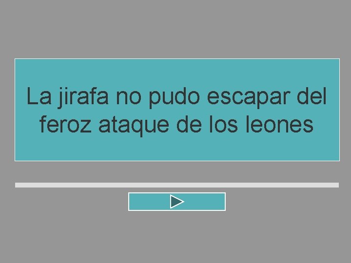 La jirafa no pudo escapar del feroz ataque de los leones La jirafa no pudo escapar del feroz ataque de los leones
