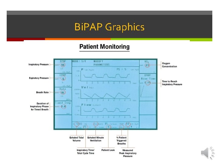 Bi. PAP Graphics 