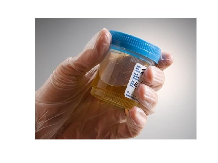 Dviej pamok tema PRAKTIKOS DARBAS Inksto sandara ir