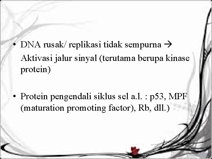  • DNA rusak/ replikasi tidak sempurna Aktivasi jalur sinyal (terutama berupa kinase protein)