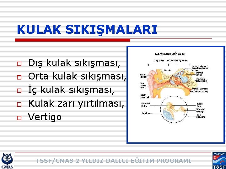 KULAK SIKIŞMALARI o o o Dış kulak sıkışması, Orta kulak sıkışması, İç kulak sıkışması,