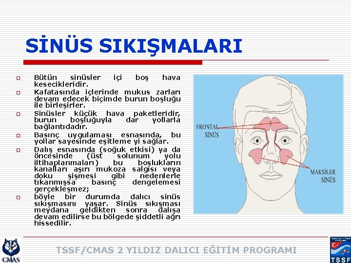 SİNÜS SIKIŞMALARI o o o Bütün sinüsler içi boş hava kesecikleridir. Kafatasında içlerinde mukus