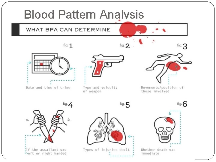 Blood Pattern Analysis 