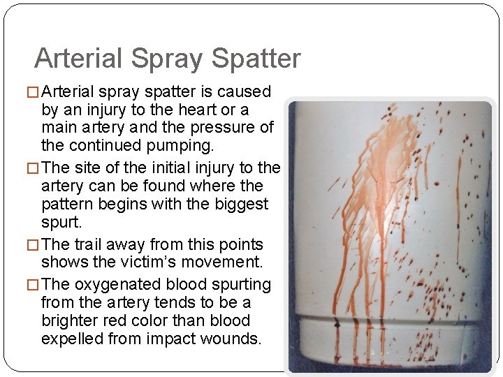 Arterial Spray Spatter � Arterial spray spatter is caused by an injury to the