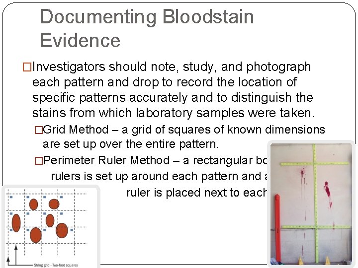 Documenting Bloodstain Evidence �Investigators should note, study, and photograph each pattern and drop to
