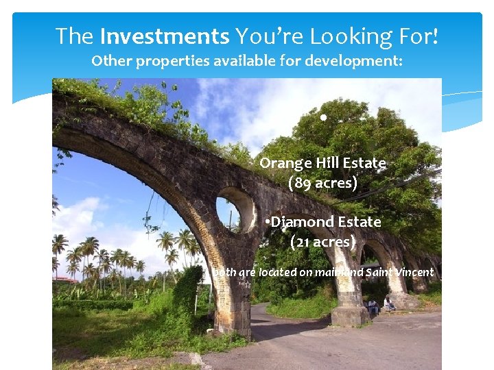  • The Investments You’re Looking For! Other properties available for development: • Orange