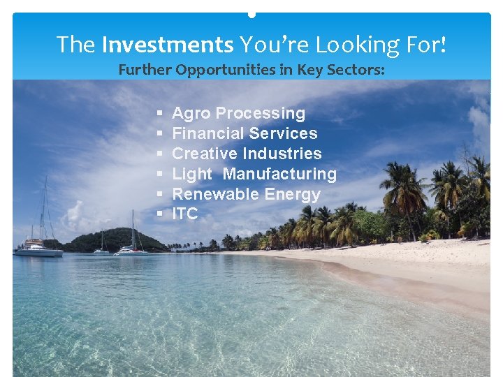  • The Investments You’re Looking For! Further Opportunities in Key Sectors: § §