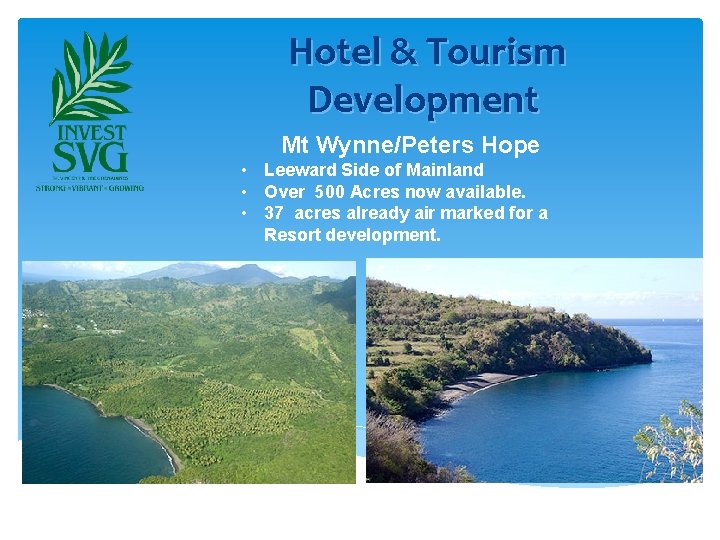 Hotel & Tourism Development Mt Wynne/Peters Hope • Leeward Side of Mainland • Over