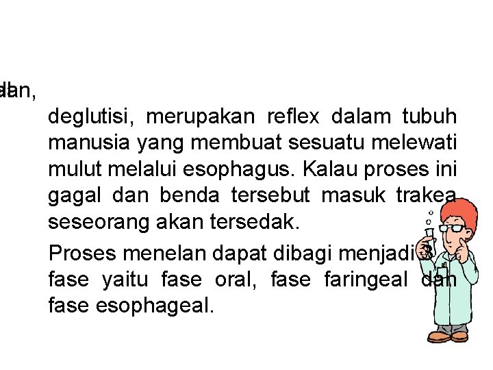 Proses Menelan Makanan Atau Minuman Pada Manusia Menelan