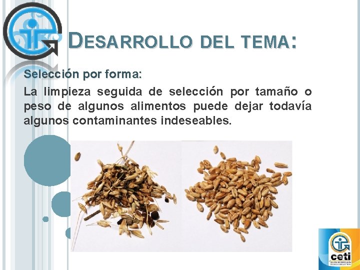 DESARROLLO DEL TEMA: Selección por forma: La limpieza seguida de selección por tamaño o DESARROLLO DEL TEMA: Selección por forma: La limpieza seguida de selección por tamaño o