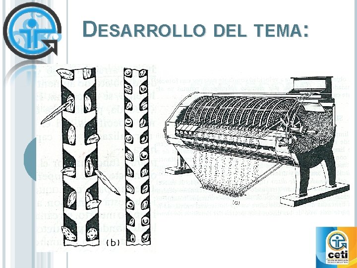 DESARROLLO DEL TEMA: DESARROLLO DEL TEMA: