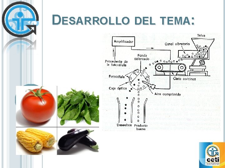 DESARROLLO DEL TEMA: DESARROLLO DEL TEMA: