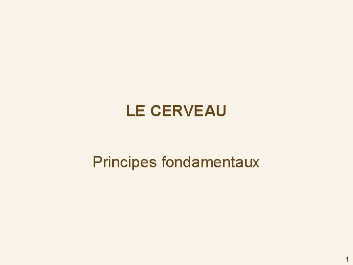 LE CERVEAU Principes fondamentaux 1 