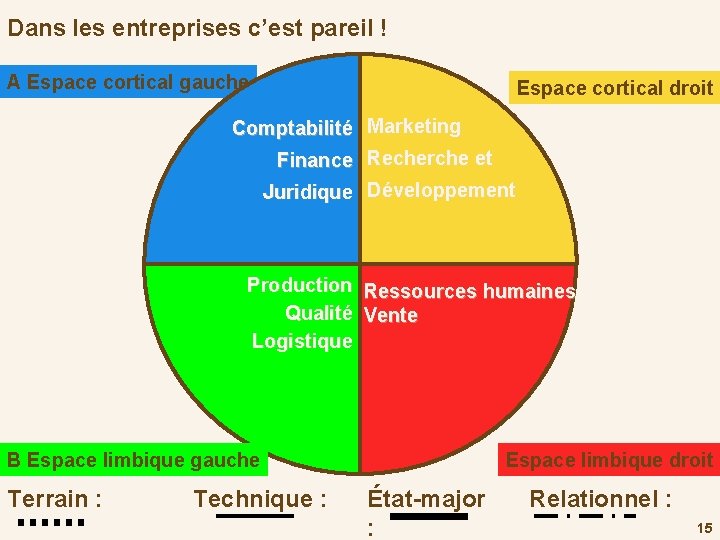 Dans les entreprises c’est pareil ! A Espace cortical gauche Espace cortical droit D