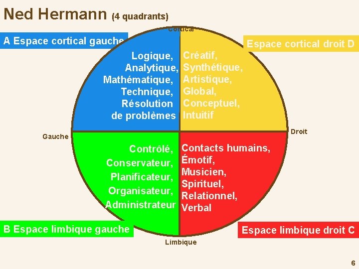 Ned Hermann (4 quadrants) Cortical A Espace cortical gauche Espace cortical droit D Logique,