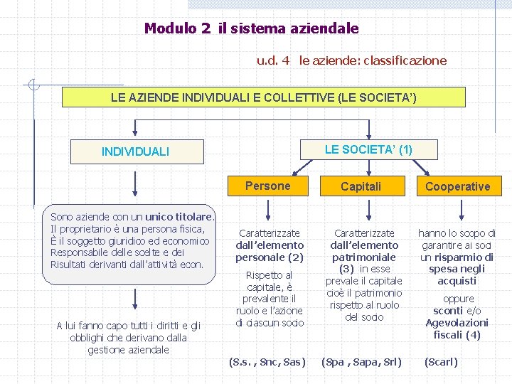 Modulo 2 il sistema aziendale u. d. 4 le aziende: classificazione LE AZIENDE INDIVIDUALI