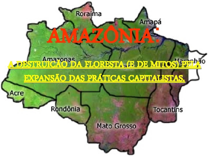 AMAZÔNIA: A DESTRUIÇÃO DA FLORESTA (E DE MITOS) PELA EXPANSÃO DAS PRÁTICAS CAPITALISTAS. 