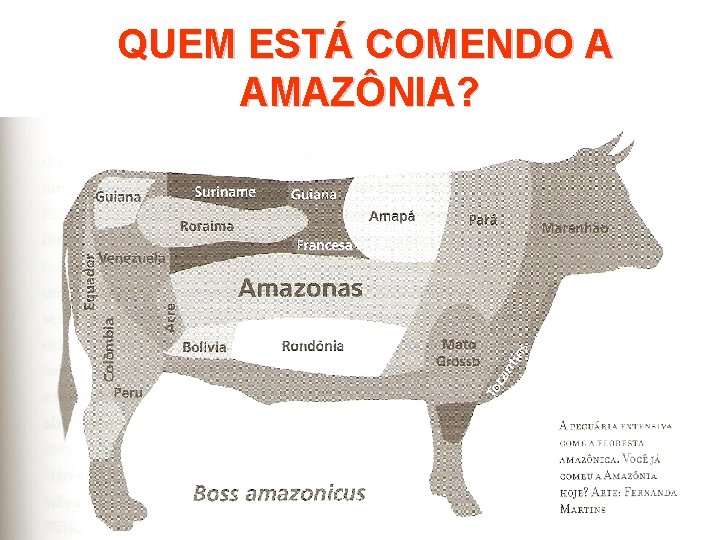 QUEM ESTÁ COMENDO A AMAZÔNIA? 