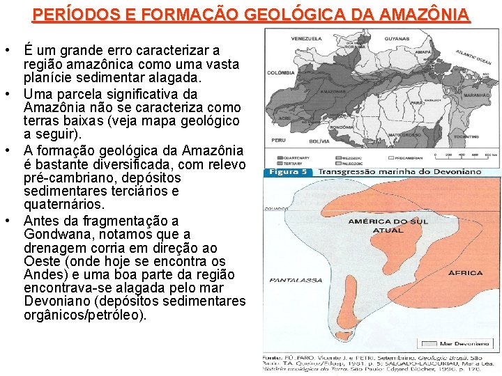 PERÍODOS E FORMAÇÃO GEOLÓGICA DA AMAZÔNIA • É um grande erro caracterizar a região
