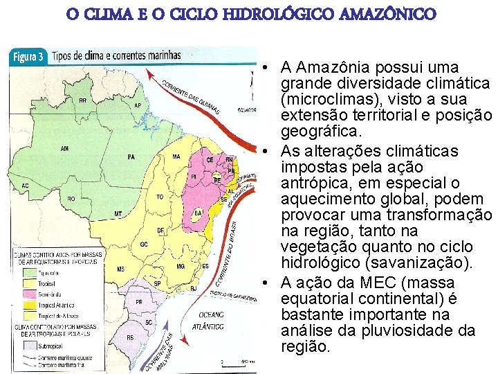 O CLIMA E O CICLO HIDROLÓGICO AMAZÔNICO • A Amazônia possui uma grande diversidade