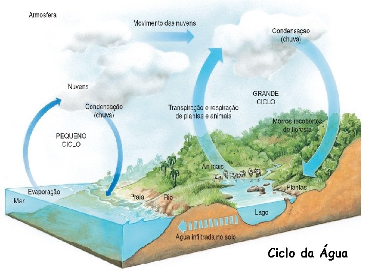 Ciclo da Água 