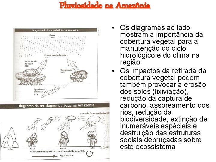 Pluviosidade na Amazônia • Os diagramas ao lado mostram a importância da cobertura vegetal