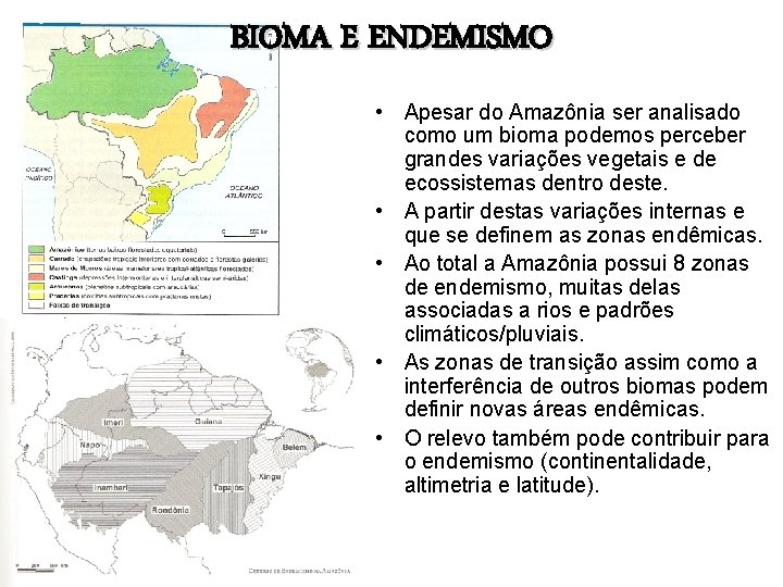BIOMA E ENDEMISMO • Apesar do Amazônia ser analisado como um bioma podemos perceber
