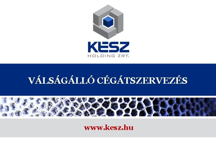 VÁLSÁGÁLLÓ CÉGÁTSZERVEZÉS www. kesz. hu 