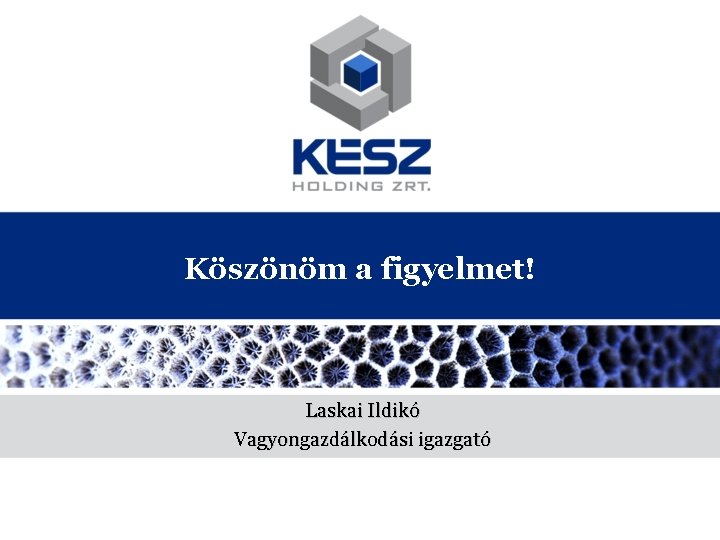 Köszönöm a figyelmet! Laskai Ildikó Vagyongazdálkodási igazgató 