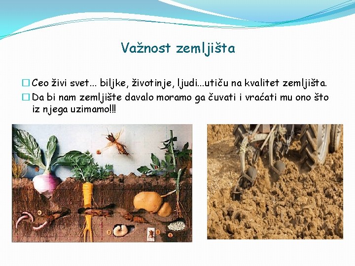 Važnost zemljišta � Ceo živi svet. . . biljke, životinje, ljudi. . . utiču