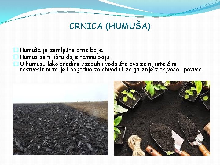 CRNICA (HUMUŠA) � Humuša je zemljište crne boje. � Humus zemljištu daje tamnu boju.