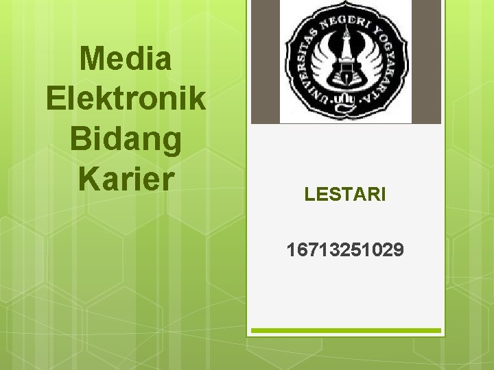 Media Elektronik Bidang Karier LESTARI 16713251029 