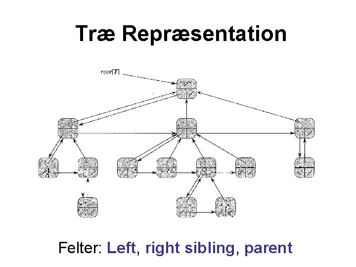 Træ Repræsentation Felter: Left, right sibling, parent 