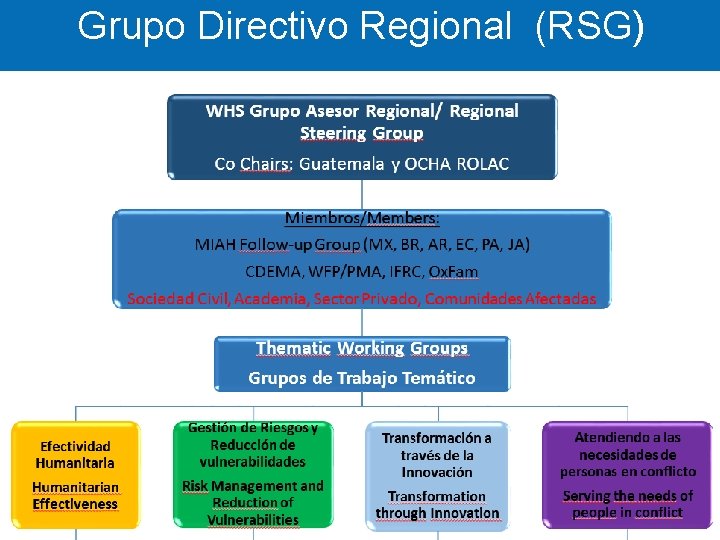 Grupo Directivo Regional (RSG) THE FUTRE 