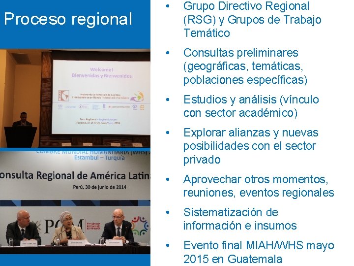 Proceso regional THE FUTRE • Grupo Directivo Regional (RSG) y Grupos de Trabajo Temático