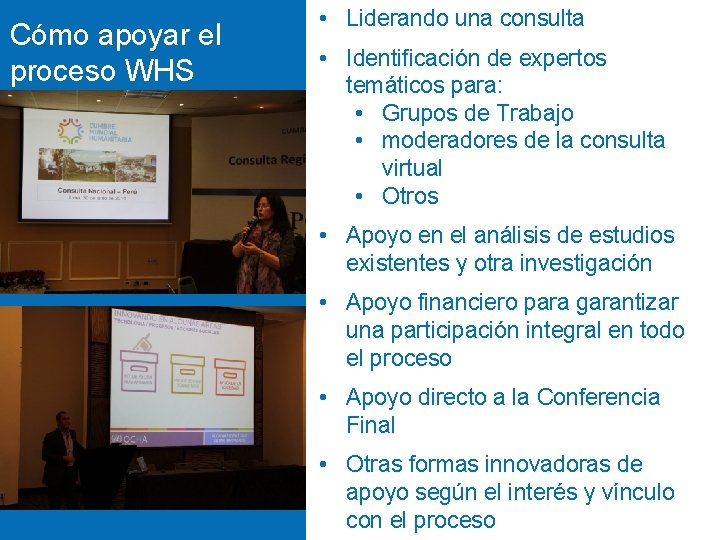 Cómo apoyar el THE FUTRE proceso WHS • Liderando una consulta • Identificación de