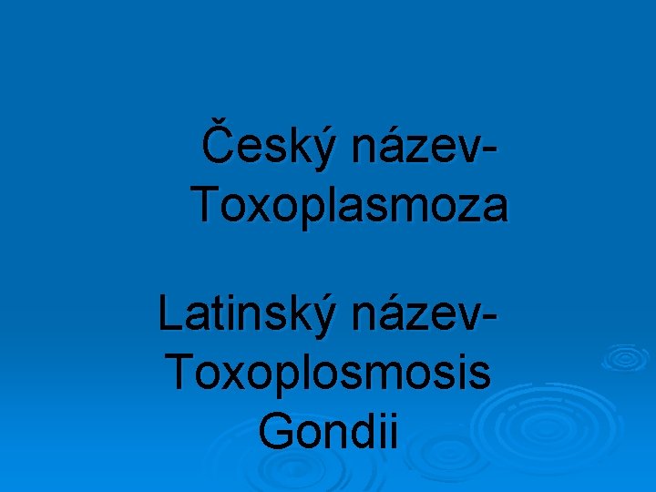 Český název. Toxoplasmoza Latinský název. Toxoplosmosis Gondii 