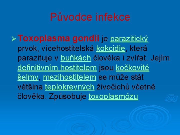 Původce infekce Ø Toxoplasma gondii je parazitický prvok, vícehostitelská kokcidie, která parazituje v buňkách