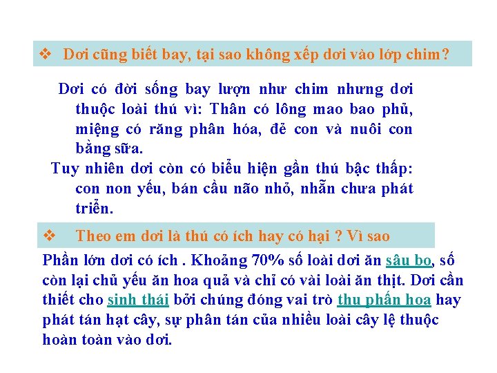 v Dơi cũng biết bay, tại sao không xếp dơi vào lớp chim? Dơi