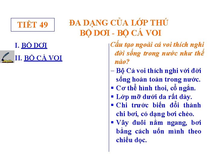 TIẾT 49 I. BỘ DƠI II. BỘ CÁ VOI ĐA DẠNG CỦA LỚP THÚ