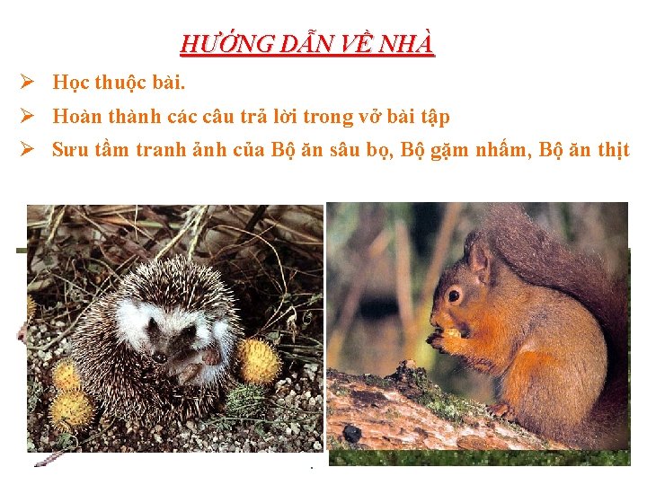 HƯỚNG DẪN VỀ NHÀ Ø Học thuộc bài. Ø Hoàn thành các câu trả