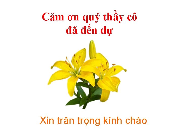 Cảm ơn quý thầy cô đã đến dự Xin trân trọng kính chào 