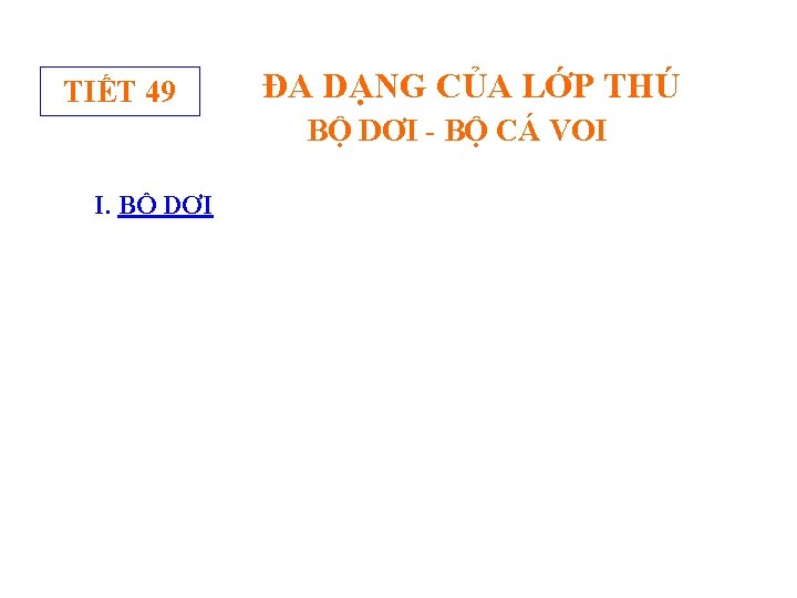 TIẾT 49 ĐA DẠNG CỦA LỚP THÚ BỘ DƠI - BỘ CÁ VOI I.
