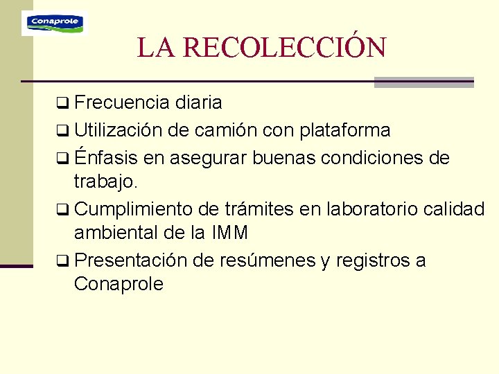LA RECOLECCIÓN q Frecuencia diaria q Utilización de camión con plataforma q Énfasis en LA RECOLECCIÓN q Frecuencia diaria q Utilización de camión con plataforma q Énfasis en